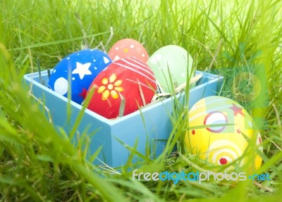Easter Eggs In The Box Stock Photo