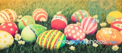 Easter Eggs With Flower On Fresh Green Grass ( Filtered Image Pr… Stock Photo