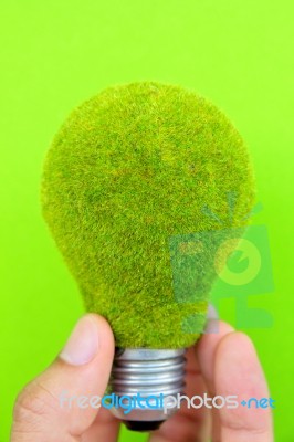 Eco Light Blub In Hand  Stock Photo
