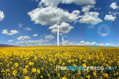 Ecoenergy Stock Photo