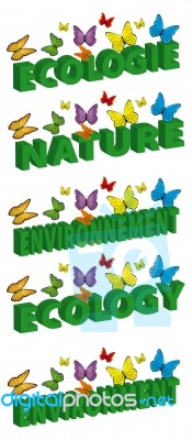 Ecology And Environment Stock Image