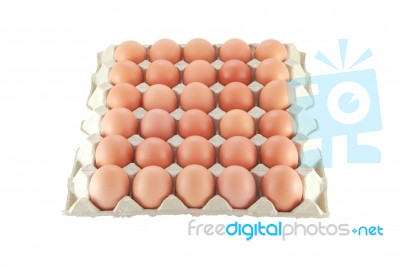 Egg In Carton Stock Photo