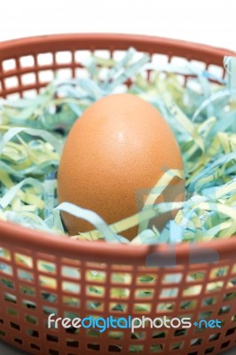 Egg In The Plastic Basket Stock Photo