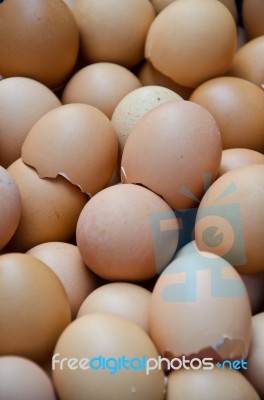 Eggshell Stock Photo