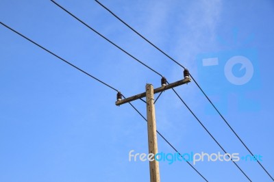 Electric Pole Stock Photo