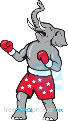 Elephant Boxer Boxing Stance Stock Image