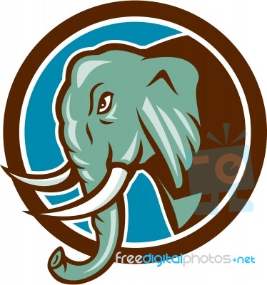 Elephant Head Side Circle Cartoon Stock Image