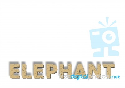 Elephant Texture In The Text Stock Image