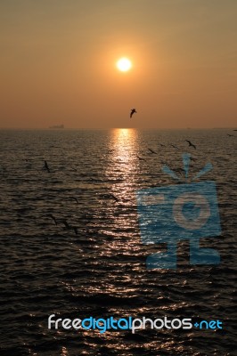 Evening Sun And Sea Stock Photo