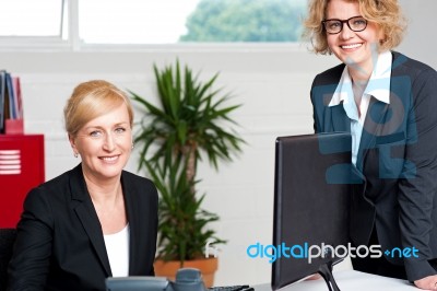 Executive Women Posing At Office Stock Photo