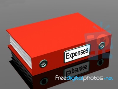 Expenses File In Red Stock Image