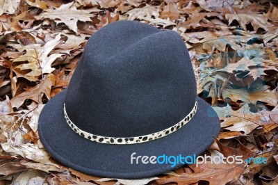 Fall Hat Stock Photo