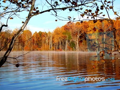 Fall Lake Trees Stock Photo