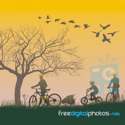 Family On Bicycle Ride Stock Image