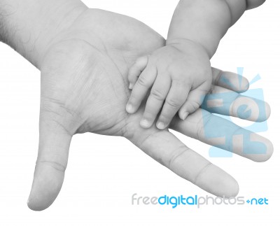Father Giving Hand To A Child Stock Photo