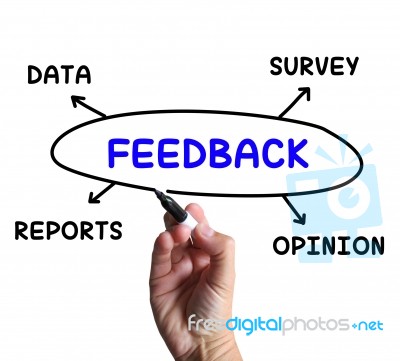 Feedback Diagram Means Survey Reports And Opinion Stock Image