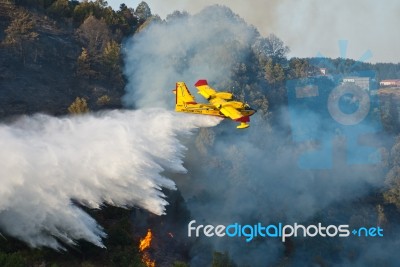Fire Fighting Plane Stock Photo