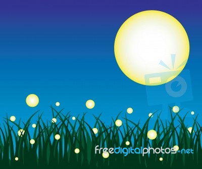 Firefly Stock Image