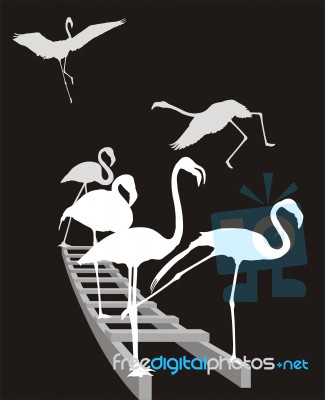 Flamingos On The Ladder Inverse In Grayscale Stock Image