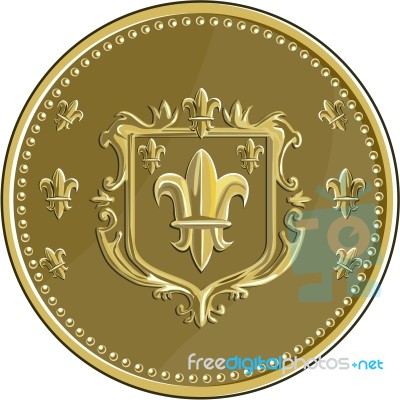 Fleur De Lis Coat Of Arms Gold Medal Retro Stock Image
