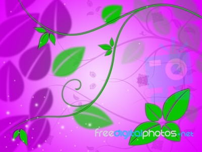 Floral Background Represents Backgrounds Florist And Blooming Stock Image