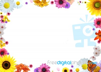 Floral Frame Stock Photo