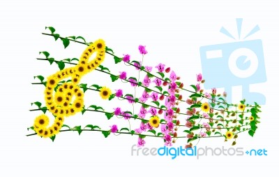 Floral Music Background Stock Photo