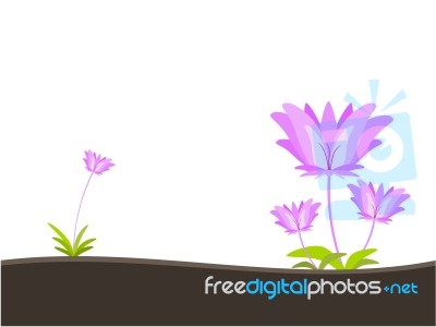 Flower Background Illustration Stock Image