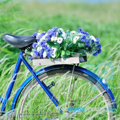Flower Bike Stock Photo
