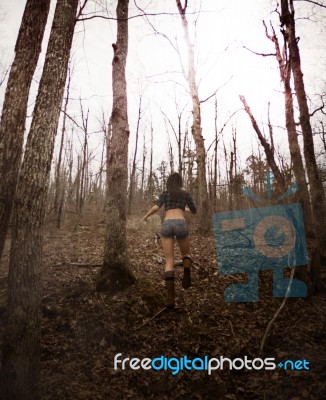 witch forest