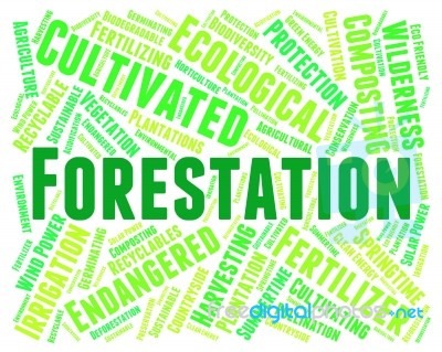Forestation Word Means Park Woodland And Trees Stock Image