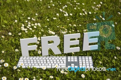 Free Text And Keyboard In Garden Stock Image