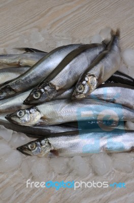 Fresh Capelin Stock Photo