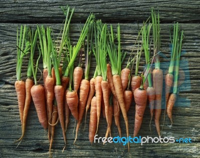 Fresh Carrot On Wood Texture Stock Photo