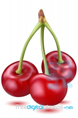 Fresh Cherry Stock Image