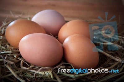Fresh Eggs On Dry Rice Leaves Straw Stock Photo