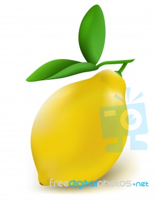 Fresh Lemon Stock Image