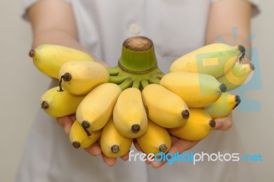 Fresh Organic Banana For Healthy Life Stock Photo