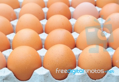 Fresh Organic Brown Eggs Stock Photo