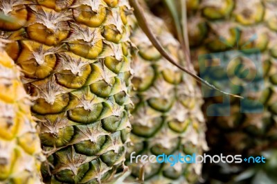 Fresh Pineapple Stock Photo