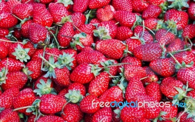Fresh Strawberry  Stock Photo