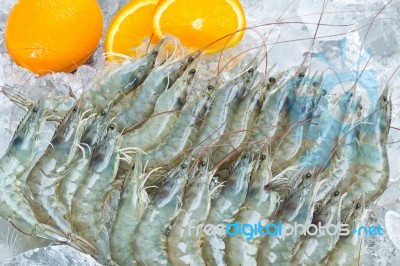 Fresh White Shrimps Stock Photo