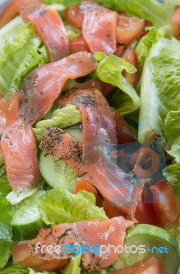 Freshness Slice Smoked Salmon Salad Stock Photo