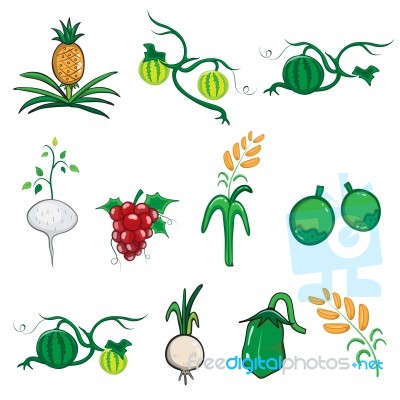Fruit And Vegetable  Illustration Cartoon Stock Image