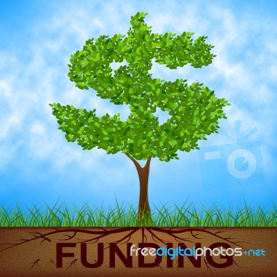 Funding Tree Means United States And Banking Stock Image