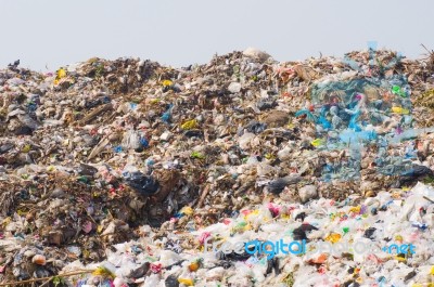 Garbage Heap Stock Photo