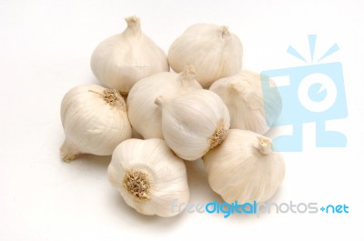 Garlic Group Stock Photo