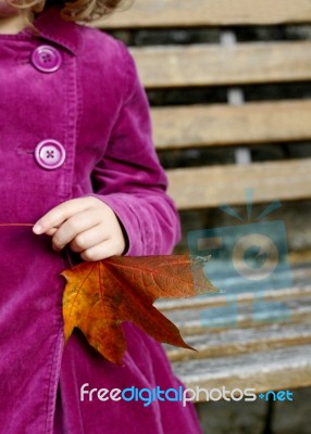 Girl With Leaf Stock Photo