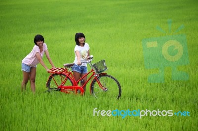 Girls Having Fun On Bike Stock Photo