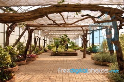 Glass House Planting Stock Photo